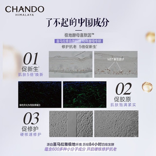 CHANDO 自然堂 小紫瓶面霜 保湿抗皱修护淡纹弹嫩紧致胶原精华霜 新年 18.5g