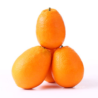 奉节脐橙纽荷尔时令新鲜采摘水果橙子 特级大果新鲜橙子礼盒 精选5斤