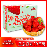 玖玖农场 正宗丹东99草莓 现摘单果25g起 1.8斤