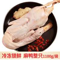 老杜 上海崇明麻鸭老麻鸭农家养殖土鸭水鸭生鲜食材新鲜冷冻鸭肉 麻鸭2.2斤