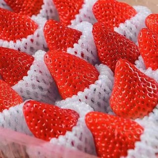 莫小仙 新鲜现摘 红颜99草莓 2.5斤装 大果20-40g