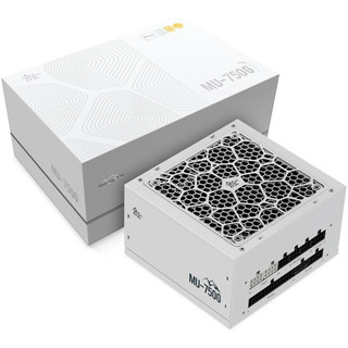 鑫谷（segotep）额定750W 昆仑MU-750G冰山版ATX3.0金牌全模组电源（PCIE5.0/全日系电容/启停风扇/白色线）