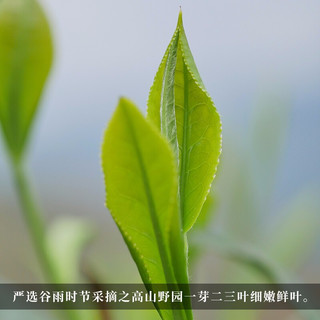 白沙溪 湖南老字号安化黑茶皇家溪霞露花砖茶荒山野镜茶1kg【2022年版】