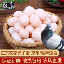 junxian 均鲜 新鲜鸽子蛋杂粮喂养农家特产白鸽蛋信鸽蛋宝宝儿童土鸽子蛋 30枚鲜鸽蛋