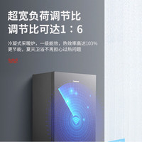 长虹（CHANGHONG）燃气壁挂炉家用供暖淋浴双温双控APPECO节能低噪锅炉暖气片地暖恒温LL1PBD33-BQ60