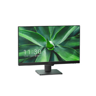 BenQ 明基 BL2490 23.8英寸 IPS FreeSync 显示器（1920×1080、100Hz、99% sRGB）