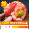 新疆品种自然熟沙瓤西红柿10斤普罗旺斯现摘新鲜水果蔬菜番茄