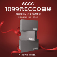 20日20点：ecco 爱步 男鞋1099元福袋（内含2件鞋款，款式随机，不支持退换货介意慎拍）