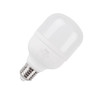 FSL LED灯泡（柱形）E27 10w 白光（柱形款） /个