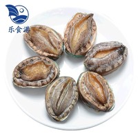 乐食港【活鲜】鲜活鲍鱼 500g（6头）贝类 海鲜水产 1斤6头