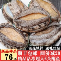 沃派 冷冻大鲍鱼 400g 6-7头 袋装 佛跳墙食材 鲜活冷冻贝类 火锅烧烤