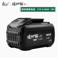 绿林【大师系列】 21V-15节10C锂电池6000mAh 