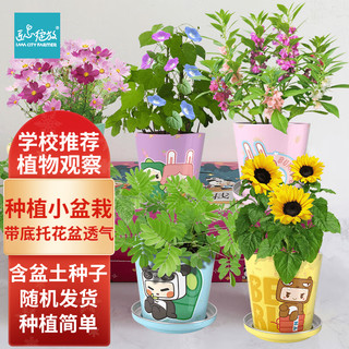 Bloom Life 匠心绽放 IAM City Farmer春季种植小盆栽 Diy趣味种植盆栽1个装 随机发货 不可指定