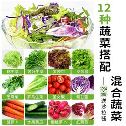 绿食者 混合沙拉蔬菜套餐生吃新鲜蔬菜西餐色拉健轻食生菜食材配菜