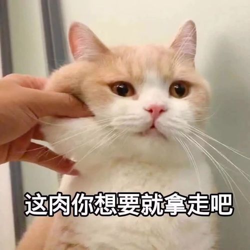 今日好价图书来咯！一起来看一看吧~