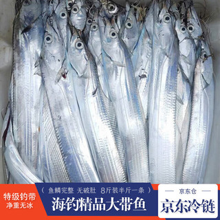 棠鲜生带鱼 精品海钓带鱼 新鲜特大整条带鱼礼盒整箱 海鲜水产生鲜鱼类 8斤礼盒（半斤一条）