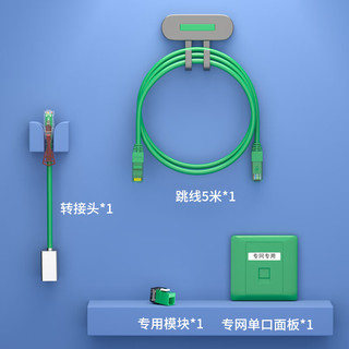 HAILE海乐 内外网专网替换套装（单口面板）绿色HT-SFD1