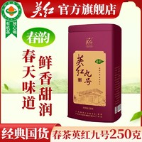 YINGHONG TEA 英红 牌2023新茶茶叶有机红茶浓香型春茶正宗英红九号罐装红茶茶叶