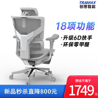 TRAMAX 创思智能 RX3 电脑椅人体工学椅办公电竞椅游戏椅家用网椅 RX3 雅典灰+畅躺架（6D扶手）