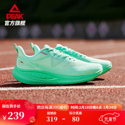 peak匹克态极骋风丨跑步鞋男鞋女鞋312km综合训练鞋减震支撑跑鞋运动