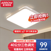 ARROW 箭牌卫浴 箭牌照明 大客厅灯卧室灯具吸顶灯具套餐北欧餐厅灯 40*40三色48W适15平内