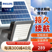 飞利浦（PHILIPS）太阳能照明灯户外防水超亮家用庭院新农村改造路灯户外壁灯遥控 1500流明-遥控/定时/光感-白光