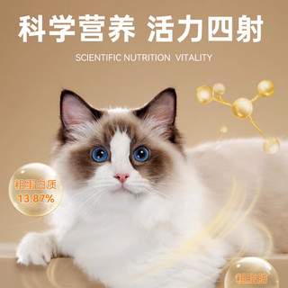 路斯路斯猫条6包支整箱喵主子猫咪零食罐头营养幼猫湿粮小鱼干猫罐头 鸡肉味【6包】