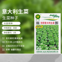 京农研生菜种子意大利结球生菜苦苣沙拉菜高产耐寒农科院易种蔬菜种籽孑 京研意大利生菜1克