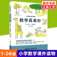 数学真美妙 小1-2年级数学课外读物数学思维训练数学科普书数学阅读课外书小数学教辅 数学思维