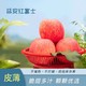 普大厨 陕西洛川红富士延安苹果新鲜水果当季整箱产地直发孕妇水果新果