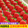 金百粟 大凉山新鲜草莓红颜99 水果甜奶油草莓 生鲜礼盒 带箱3斤中果尝鲜装
