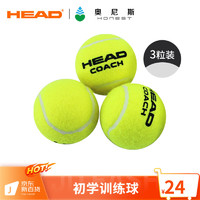 HEAD 海德 单人初学者专业训练网球练习用球耐磨无压网球 训练球3颗