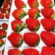栀舒 【现摘新鲜】红颜99草莓2.5斤装 大果20-40g