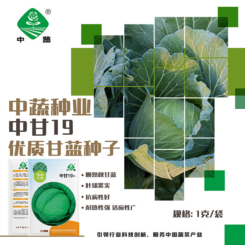 BARSI 京农研 中国农科院蔬菜种子大全香菜种籽芝麻菜甜瓜光头芥菜豆角菜种籽孑 中蔬中甘19甘蓝1克