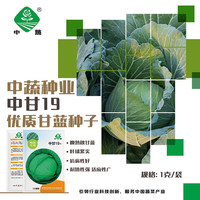 BARSI 京农研 中国农科院蔬菜种子大全香菜种籽芝麻菜甜瓜光头芥菜豆角菜种籽孑 中蔬中甘19甘蓝1克