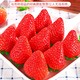 惜音 四川 红颜草莓 净重4.5斤 单果20G+