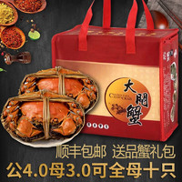 阳澄易顺 大闸蟹 鲜活特大螃蟹 海鲜水产生鲜礼盒 公4.0-4.3两母3.0-3.3两10只5对