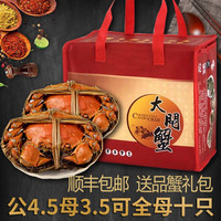 【活蟹】 阳澄易顺大闸蟹 鲜活特大螃蟹 海鲜水产生鲜礼盒 公4.5-4.8两母3.5-3.8两10只5对