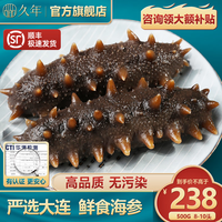 久年大连海参即食海参底播冷冻辽刺参 单个装 固形物75%以上 过节 【优选】甄选500g8-10头