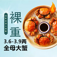 【活蟹】湖鲜阳澄 大闸蟹 去绳足重 全母3.6-3.9两 10只 鲜活超大礼盒装年货节