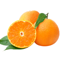 芬果时光 新鲜国产脐橙橙子大果 5斤装
