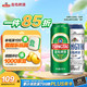 青岛啤酒 经典550ml*18听+精酿白啤500ml*3听 春日出游