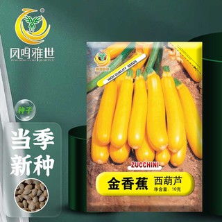 凤鸣雅世水果香蕉西葫芦种籽金皮西葫芦种子笋瓜蔬菜金香蕉西葫芦种子20粒