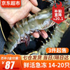 黑虎虾400g 活冻大虾 巨型黑虎虾 生鲜 海鲜水产 虎虾老虎虾（14-20只）