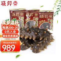 晓芹 大连冷冻即食海参 辽刺参 海鲜水产 1200g27-36只 简装