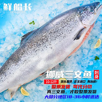 XCZ.XIAN.XCZ 鲜船长 冰鲜三文鱼整条 1条礼盒装 挪威大西洋鲑刺身 海鲜年货礼盒 整条发货10-12斤 分割带礼盒请留言