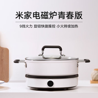 Xiaomi 小米   米家电磁炉搭配不锈钢汤锅