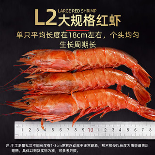 鲜味时刻冰川阿根廷红虾净重4斤 新鲜大虾超大生鲜虾类鲜似红魔虾 L2规格 约40-60只 约18厘米