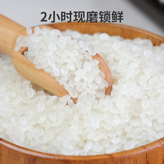 老娘舅 新米 锁鲜香稻米大米 5kg 鲜香软 10斤  珍珠米 粳米 【锁鲜】香稻米 5kg