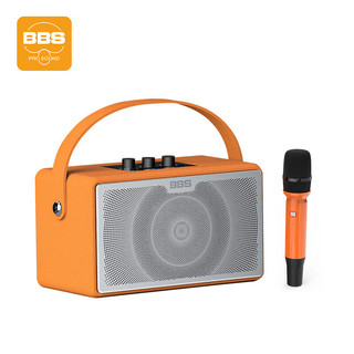 BBS P5便携式K歌音响户外移动KTV弹唱直播音箱带声卡室内专业演出P5配一支麦克风 热带橙